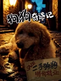 不要和陌生人说话